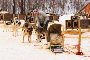 Norwegen Husky Schlittenfahrt ©HorstReitz