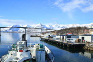 MS Lofoten Reise April 2016 ©HorstReitz