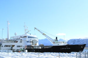 MS Lofoten Aprilreise 2016 ©HorstReitz