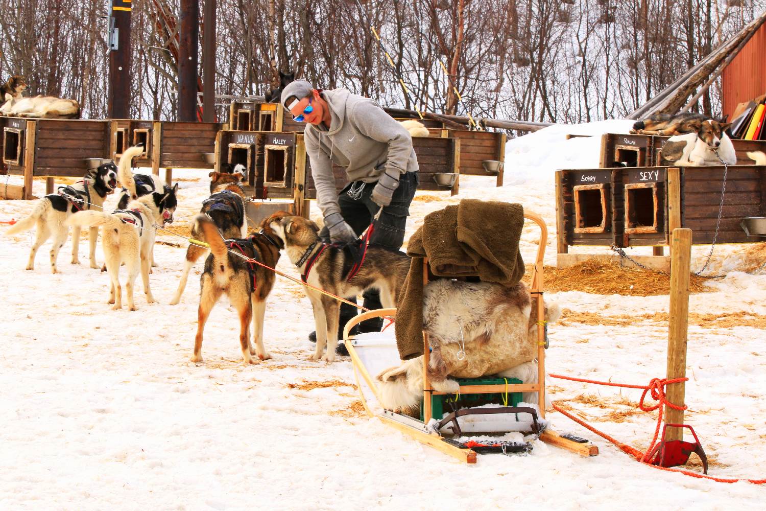 Kirkenes Snowhotel ©Horst Reitz