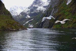MS Midnatsol im Trollfjord ©Horst Reitz